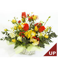 �A�����W�����g