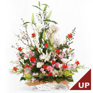 �A�����W�����g