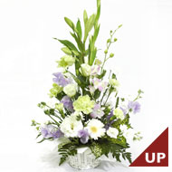 �A�����W�����g