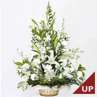 �A�����W�����g