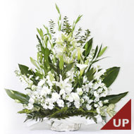 �A�����W�����g