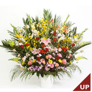 �X�^���h�E�Ԃ���