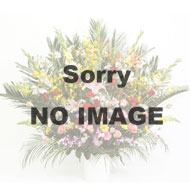 �X�^���h�E�Ԃ���