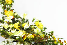 �t�����[�X�N�[���̂��ē�